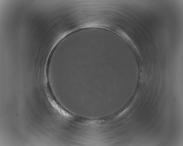 X0000082170892200701191304