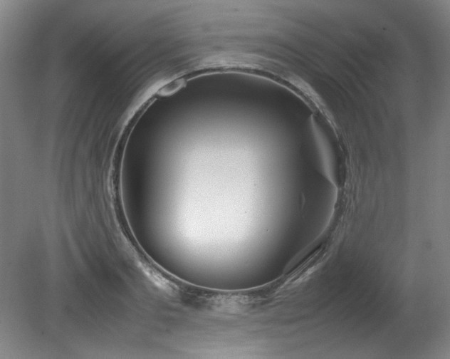 X0000082170893200701191304