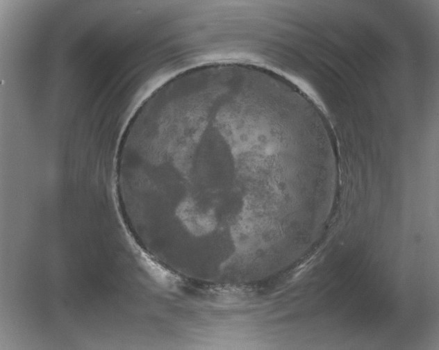 X0000082170895200701191304