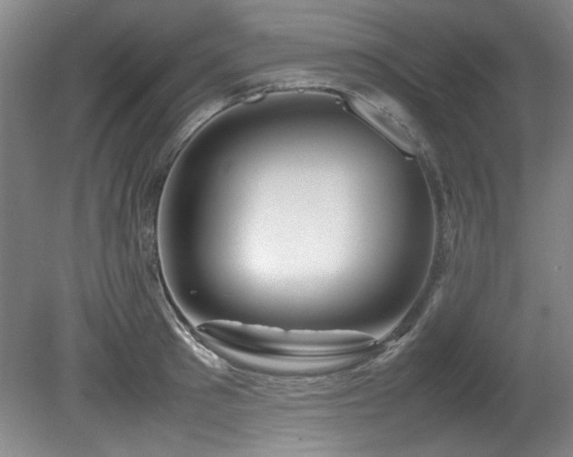 X0000082170897200701191304