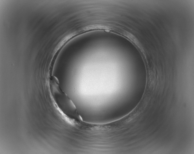 X0000082170898200701191304