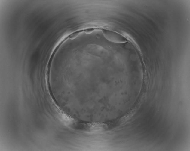 X0000082170899200701191304