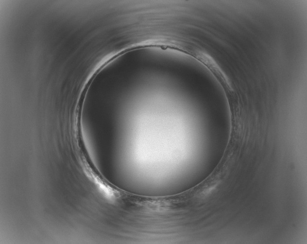 X0000082170900200701191304