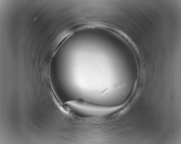 X0000082170905200701191304