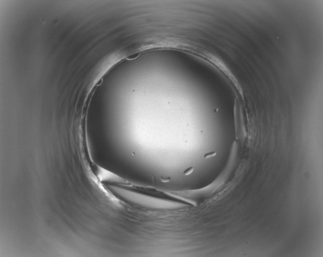 X0000082170906200701191304