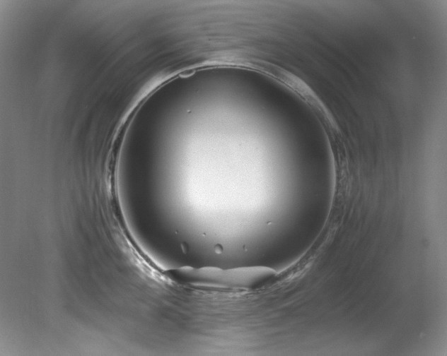 X0000082170908200701191304