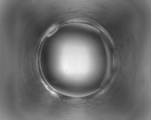 X0000082170909200701191304