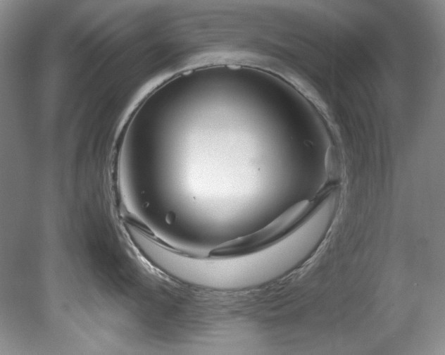 X0000082170912200701191304