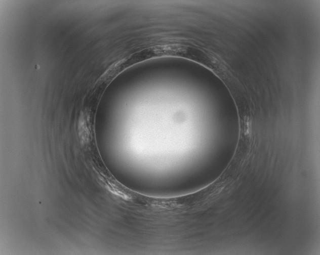 X0000082170915200701191303