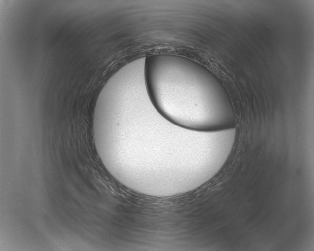 X0000082170916200701191303