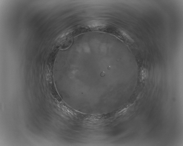 X0000082170917200701191303