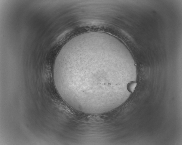 X0000082170918200701191303