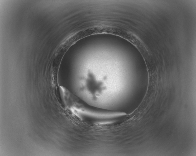 X0000082170919200701191303