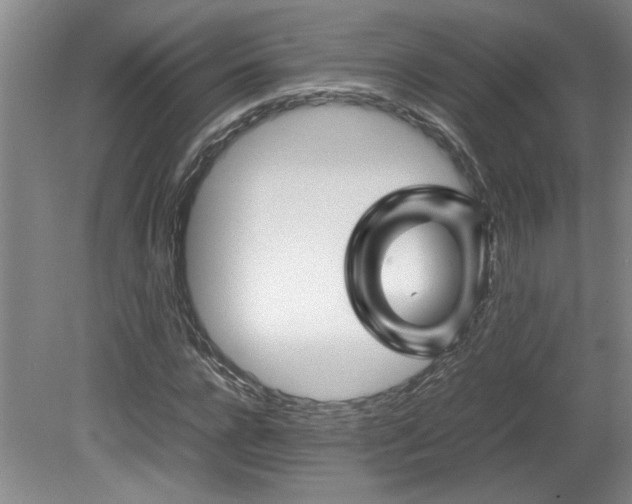 X0000082170920200701191303