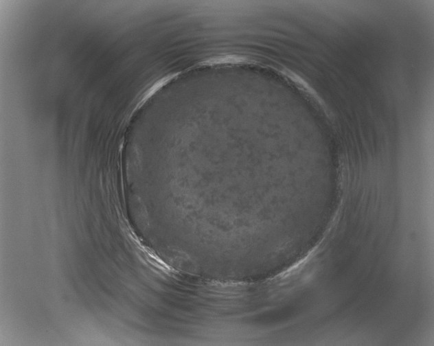 X0000082170921200701191303