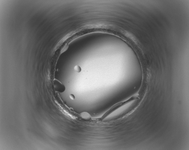 X0000082170922200701191303