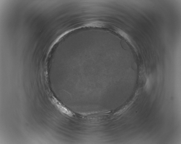 X0000082170923200701191303