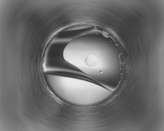 X0000082170924200701191303