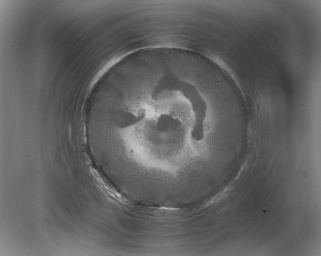 X0000082170925200701191303