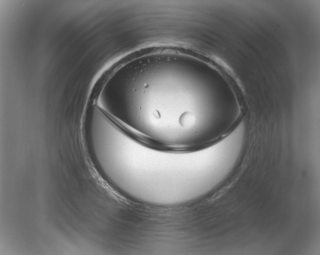 X0000082170928200701191303