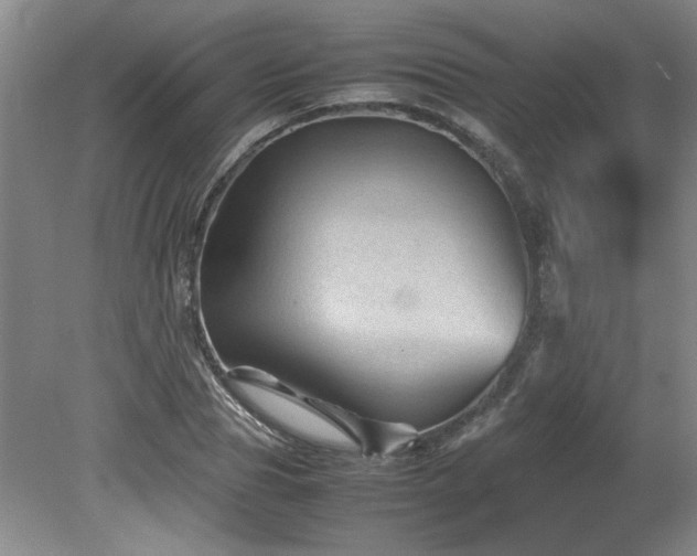 X0000082170929200701191303