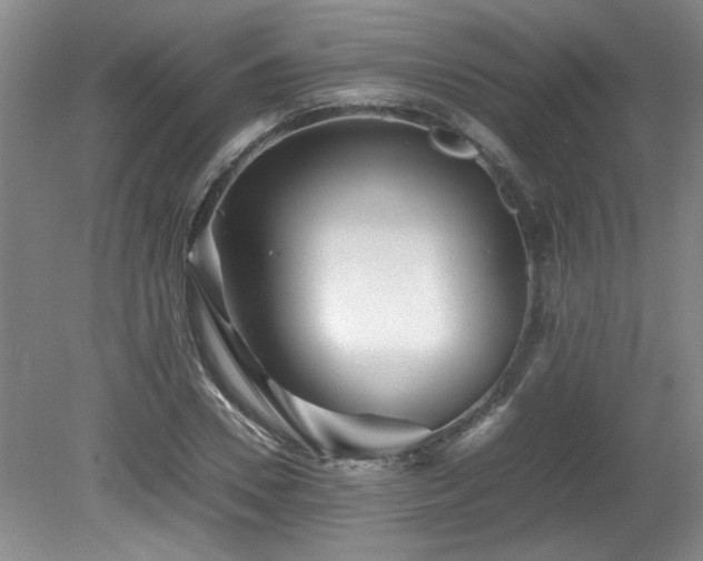 X0000082170930200701191303