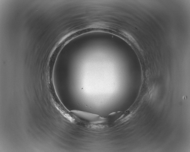 X0000082170931200701191303