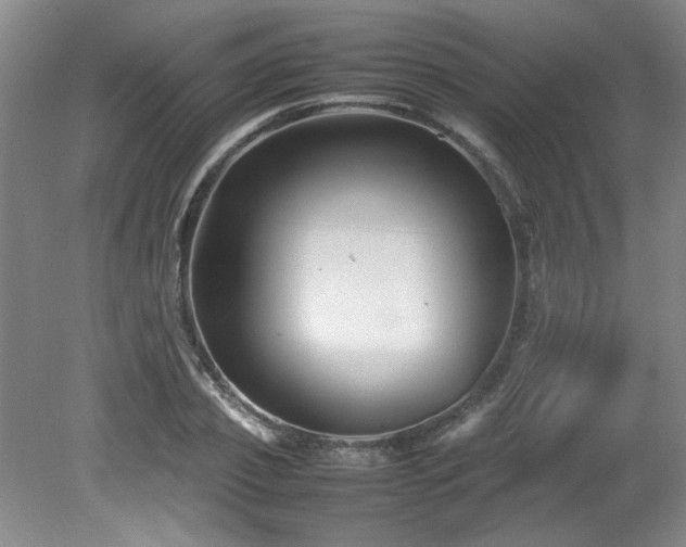 X0000082170933200701191304