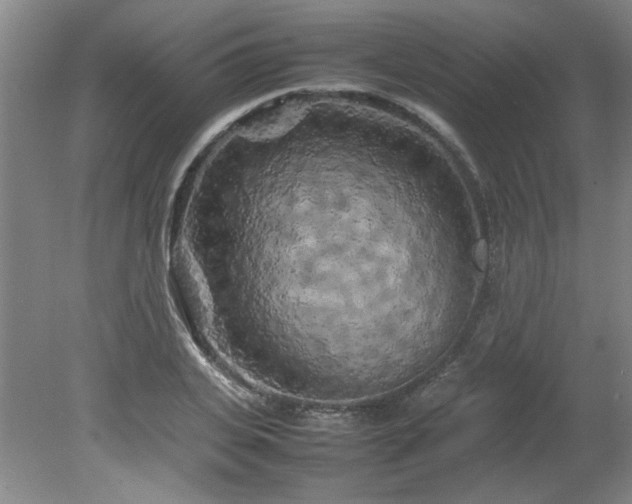 X0000082170935200701191304