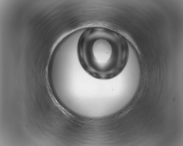 X0000082170936200701191304