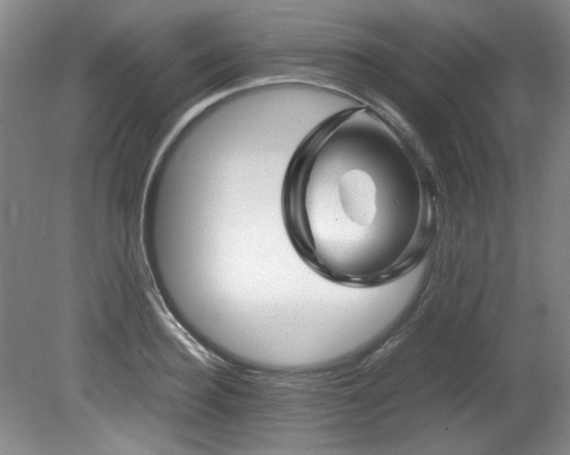 X0000082170940200701191304