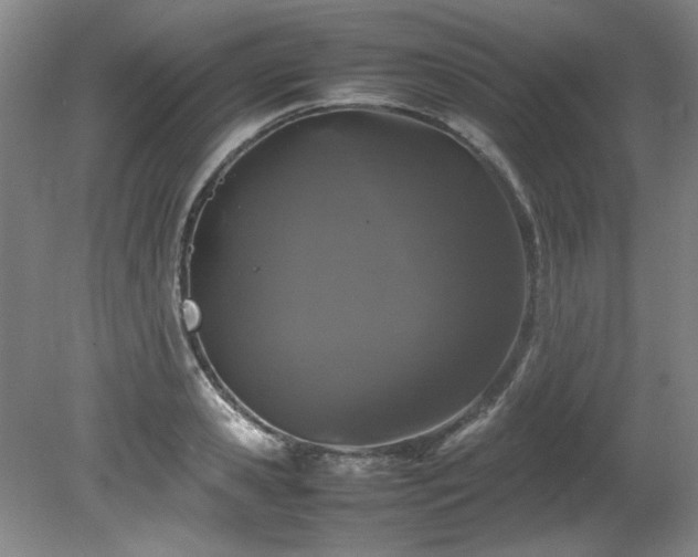 X0000082170941200701191304