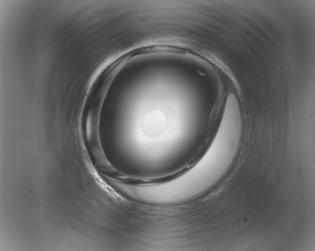 X0000082170944200701191304