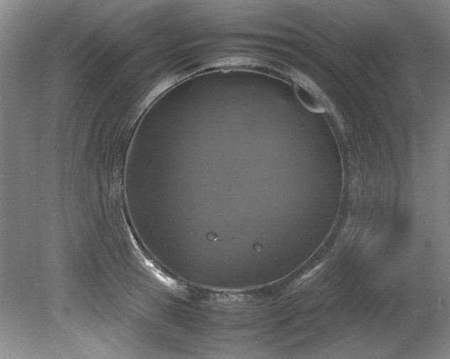 X0000082170945200701191304