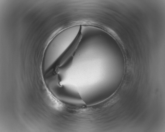 X0000082170946200701191304