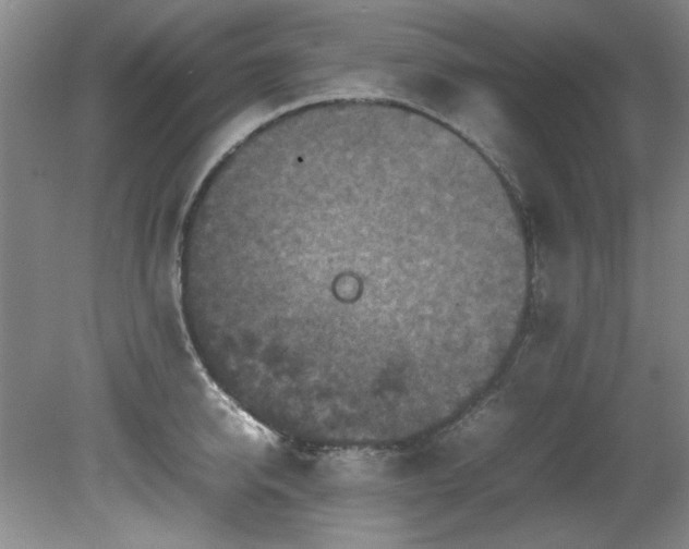 X0000082170950200701191304