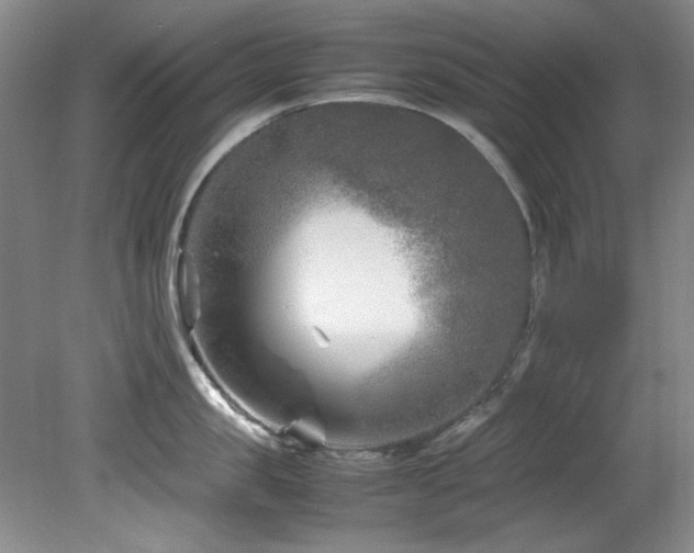 X0000082170957200701191304