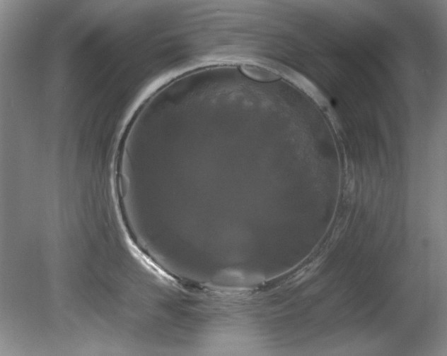 X0000082170958200701191304