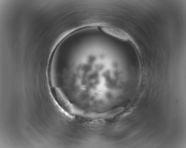 X0000082170959200701191304