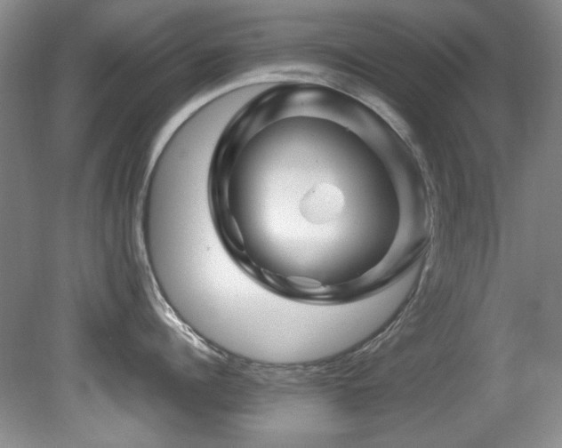 X0000082170960200701191304