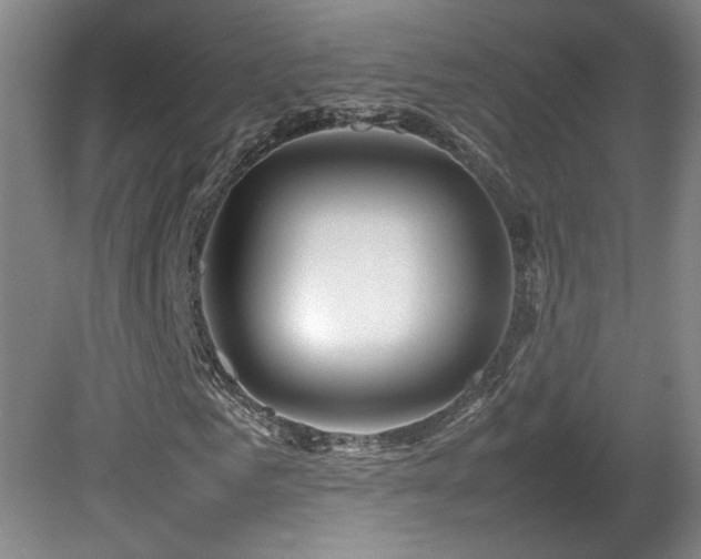 X0000082170961200701191303