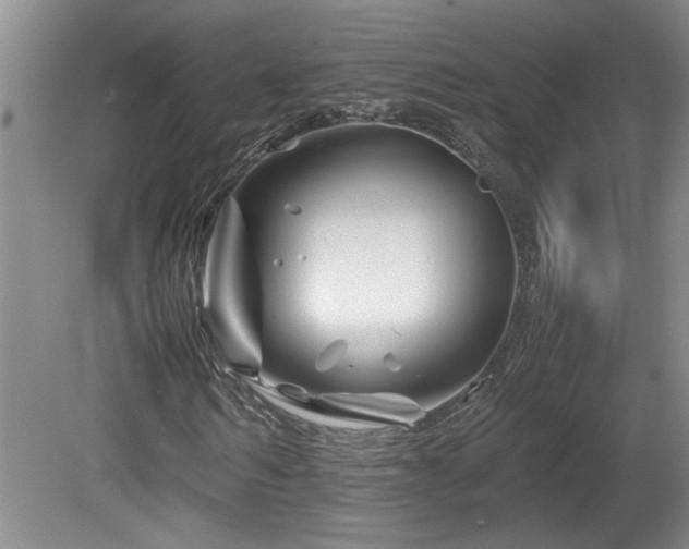 X0000082170962200701191303