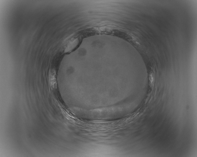 X0000082170963200701191303