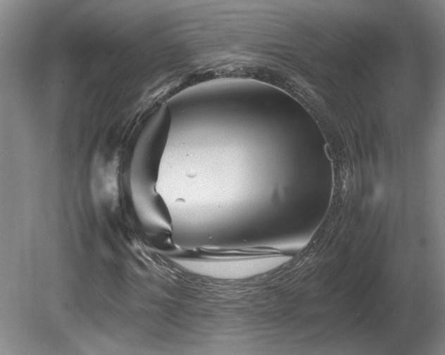 X0000082170964200701191303