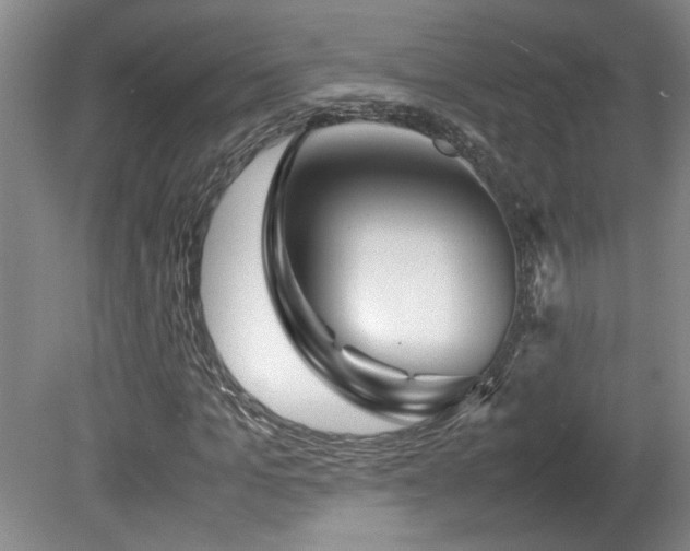 X0000082170965200701191303