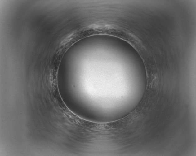 X0000082170966200701191303