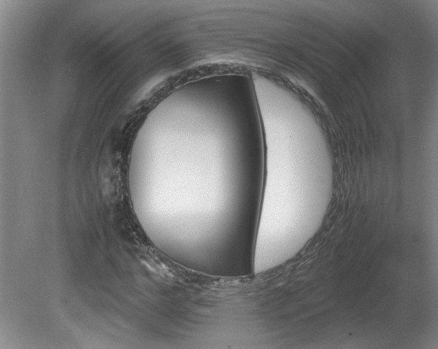 X0000082170968200701191303