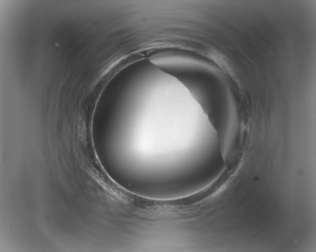 X0000082170969200701191303