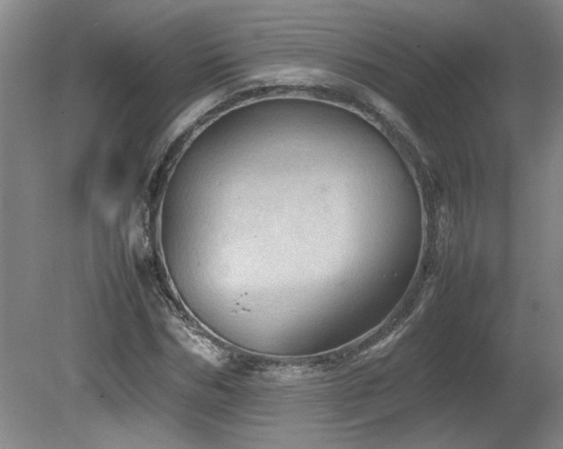 X0000082170970200701191303