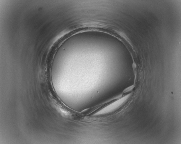 X0000082170971200701191303